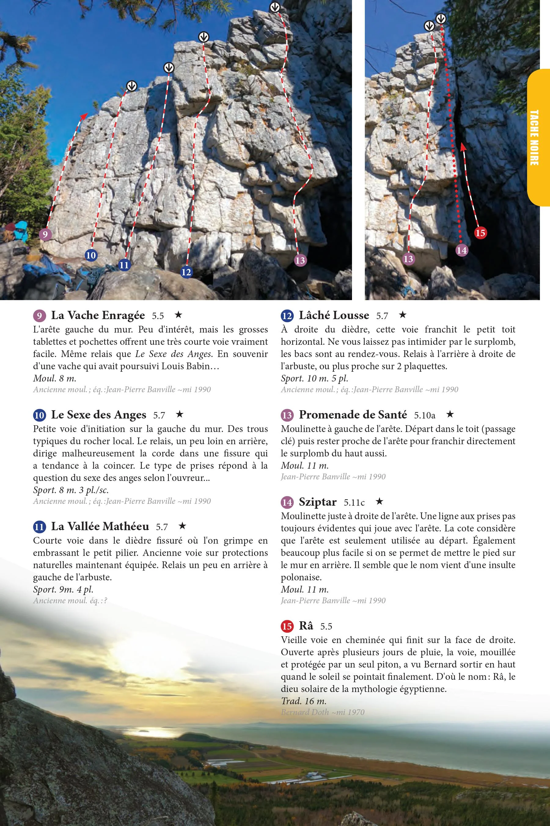 Image du produit 12